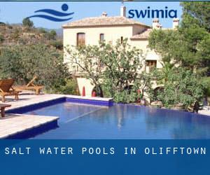 Salt Water Pools in Olifftown