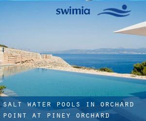 Salt Water Pools in Orchard Point at Piney Orchard