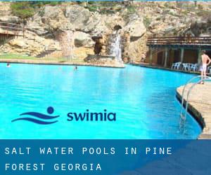 Salt Water Pools in Pine Forest (Georgia)