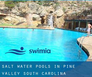 Salt Water Pools in Pine Valley (South Carolina)