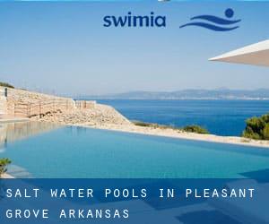 Salt Water Pools in Pleasant Grove (Arkansas)