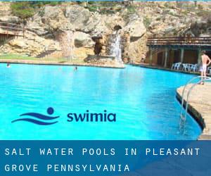 Salt Water Pools in Pleasant Grove (Pennsylvania)