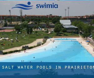 Salt Water Pools in Prairieton