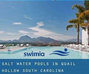 Salt Water Pools in Quail Hollow (South Carolina)