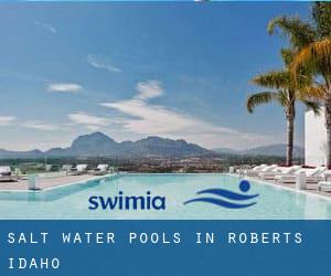 Salt Water Pools in Roberts (Idaho)