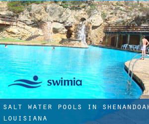 Salt Water Pools in Shenandoah (Louisiana)