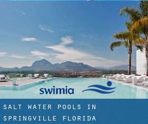 Salt Water Pools in Springville (Florida)