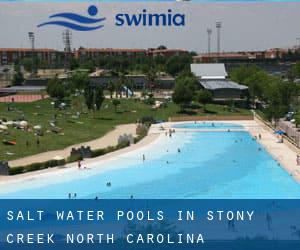 Salt Water Pools in Stony Creek (North Carolina)