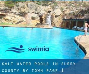 Salt Water Pools in Surry County by Town - page 1