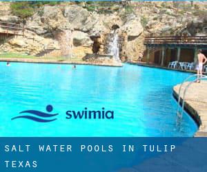 Salt Water Pools in Tulip (Texas)