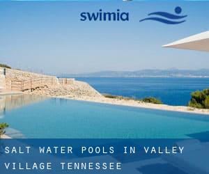 Salt Water Pools in Valley Village (Tennessee)