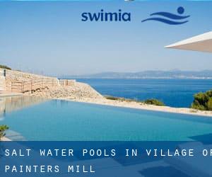 Salt Water Pools in Village of Painters Mill