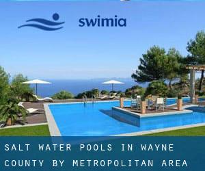 Salt Water Pools in Wayne County by Metropolitan Area - page 1