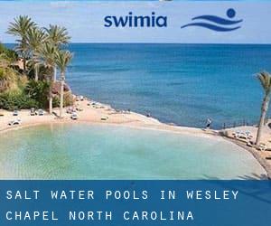 Salt Water Pools in Wesley Chapel (North Carolina)