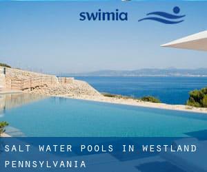 Salt Water Pools in Westland (Pennsylvania)