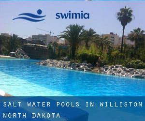 Salt Water Pools in Williston (North Dakota)