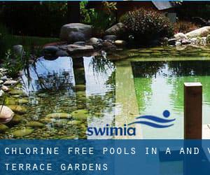 Chlorine Free Pools in A and V Terrace Gardens