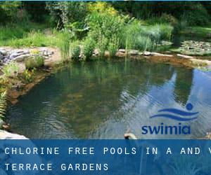 Chlorine Free Pools in A and V Terrace Gardens