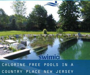 Chlorine Free Pools in A Country Place (New Jersey)