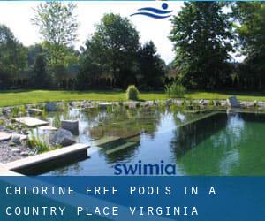 Chlorine Free Pools in A Country Place (Virginia)