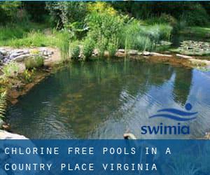 Chlorine Free Pools in A Country Place (Virginia)