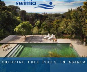 Chlorine Free Pools in Abanda