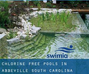 Chlorine Free Pools in Abbeville (South Carolina)