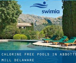 Chlorine Free Pools in Abbotts Mill (Delaware)