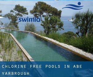 Chlorine Free Pools in Abe Yarbrough