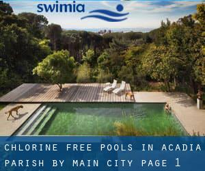 Chlorine Free Pools in Acadia Parish by Main City - page 1