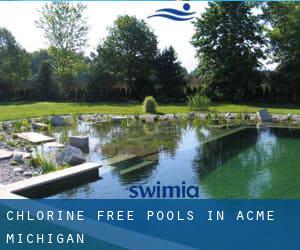 Chlorine Free Pools in Acme (Michigan)