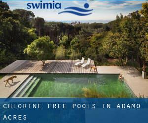 Chlorine Free Pools in Adamo Acres