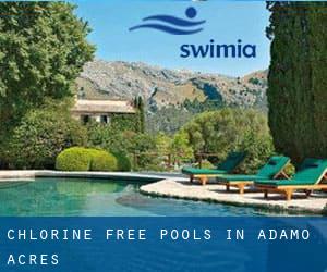 Chlorine Free Pools in Adamo Acres