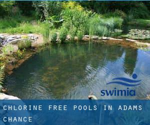 Chlorine Free Pools in Adams Chance