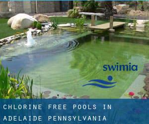 Chlorine Free Pools in Adelaide (Pennsylvania)