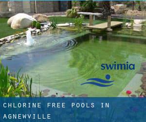 Chlorine Free Pools in Agnewville