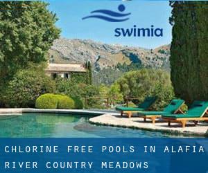 Chlorine Free Pools in Alafia River Country Meadows