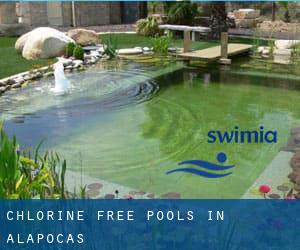 Chlorine Free Pools in Alapocas