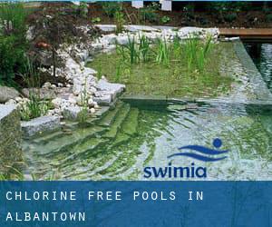 Chlorine Free Pools in Albantown