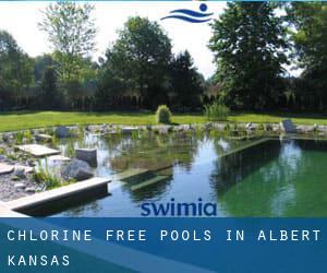 Chlorine Free Pools in Albert (Kansas)