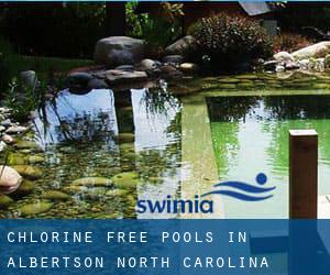 Chlorine Free Pools in Albertson (North Carolina)