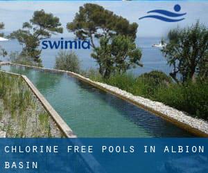 Chlorine Free Pools in Albion Basin