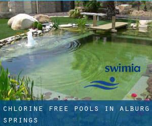 Chlorine Free Pools in Alburg Springs