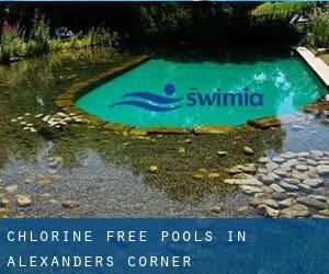 Chlorine Free Pools in Alexanders Corner