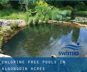 Chlorine Free Pools in Algonquin Acres