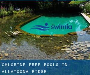 Chlorine Free Pools in Allatoona Ridge