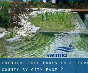 Chlorine Free Pools in Allegan County by City - page 2