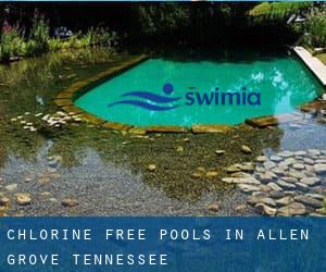 Chlorine Free Pools in Allen Grove (Tennessee)