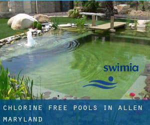 Chlorine Free Pools in Allen (Maryland)