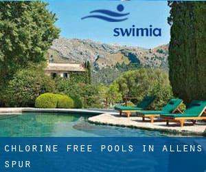 Chlorine Free Pools in Allens Spur